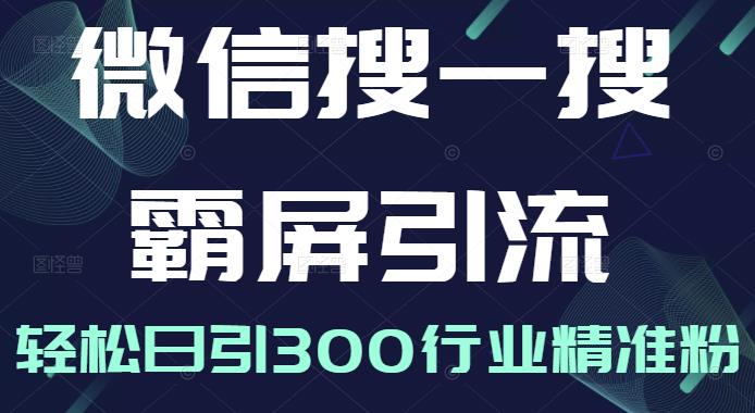 微信搜一搜霸屏引流课，打造被动精准引流系统，轻松日引300行业精准粉【无水印】搞钱项目网-网创项目资源站-副业项目-创业项目-搞钱项目搞钱项目网