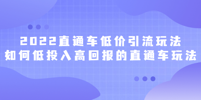 2022直通车低价引流玩法，教大家如何低投入高回报的直通车玩法搞钱项目网-网创项目资源站-副业项目-创业项目-搞钱项目搞钱项目网