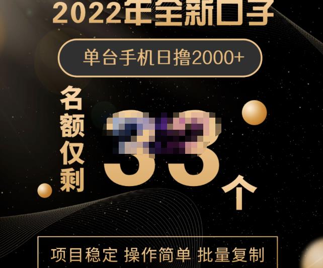 2022年全新口子，手机批量搬砖玩法，一部手机日撸2000+搞钱项目网-网创项目资源站-副业项目-创业项目-搞钱项目搞钱项目网