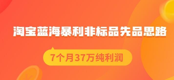 盗坤淘宝蓝海暴利非标品先品思路，7个月37万纯利润，压箱干货分享！【付费文章】搞钱项目网-网创项目资源站-副业项目-创业项目-搞钱项目搞钱项目网