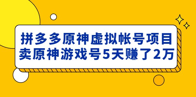 外面卖2980的拼多多原神虚拟帐号项目搞钱项目网-网创项目资源站-副业项目-创业项目-搞钱项目搞钱项目网