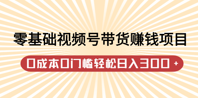 零基础视频号带货赚钱项目，0成本0门槛轻松日入300+【视频教程】搞钱项目网-网创项目资源站-副业项目-创业项目-搞钱项目搞钱项目网