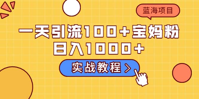 一天引流100+宝妈粉，日入1000+的蓝海项目（实战教程）搞钱项目网-网创项目资源站-副业项目-创业项目-搞钱项目搞钱项目网