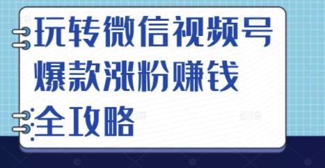 玩转微信视频号爆款涨粉赚钱全攻略，让你快速抓住流量风口，收获红利财富搞钱项目网-网创项目资源站-副业项目-创业项目-搞钱项目搞钱项目网