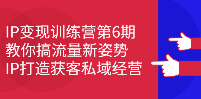 IP变现训练营第6期：教你搞流量新姿势，IP打造获客私域经营搞钱项目网-网创项目资源站-副业项目-创业项目-搞钱项目搞钱项目网