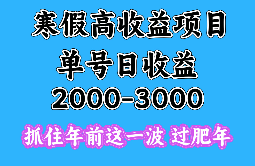 寒假期间一天收益2000-3000+，抓住年前这一波搞钱项目网-网创项目资源站-副业项目-创业项目-搞钱项目搞钱项目网